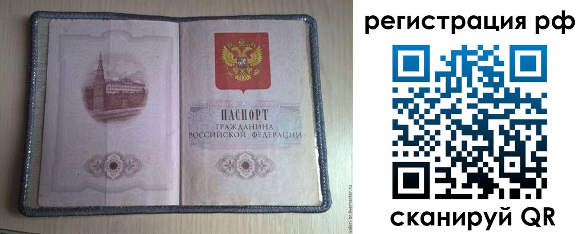 прописка поиск в Брянской области